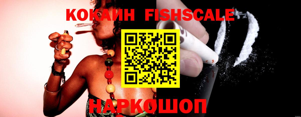 магазин  наркотиков  Заводоуковск  COCAIN Боливия  COCAIN Fish Scale 