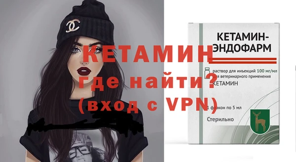 гидра Гусиноозёрск
