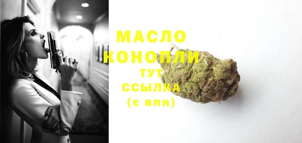 гидра Гусиноозёрск