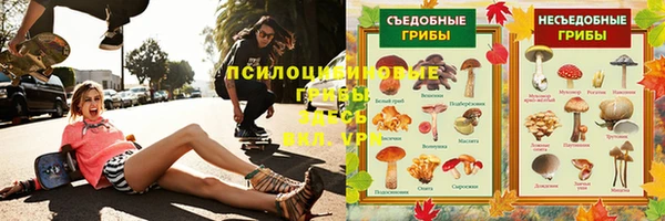 гидра Гусиноозёрск