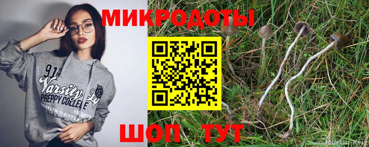 Галлюциногенные грибы Magic Shrooms  Вход с VPN  Заводоуковск 