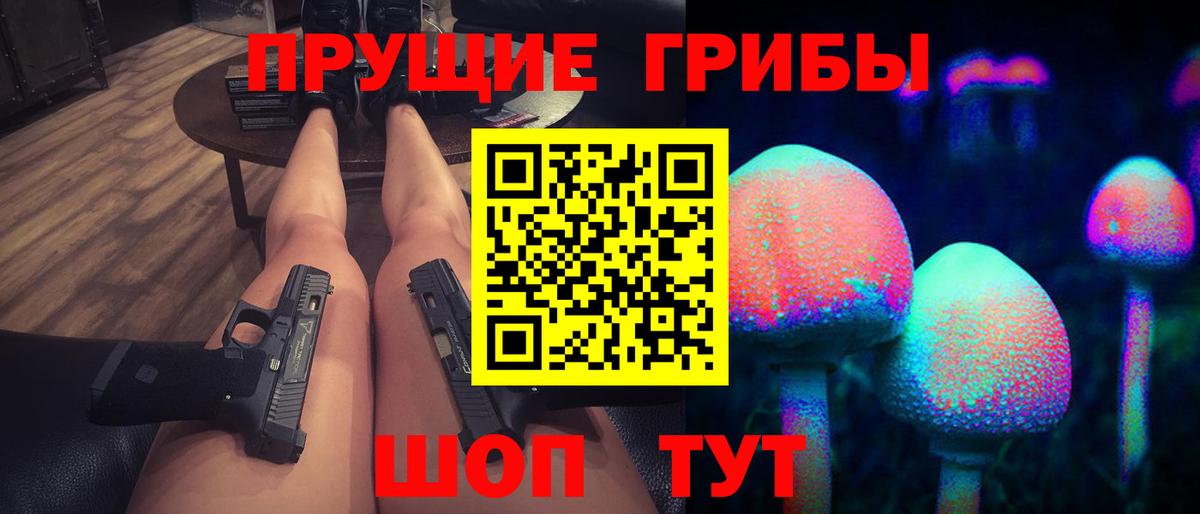 Псилоцибиновые грибы Magic Shrooms  Заводоуковск  Псилоцибиновые грибы ЛСД 